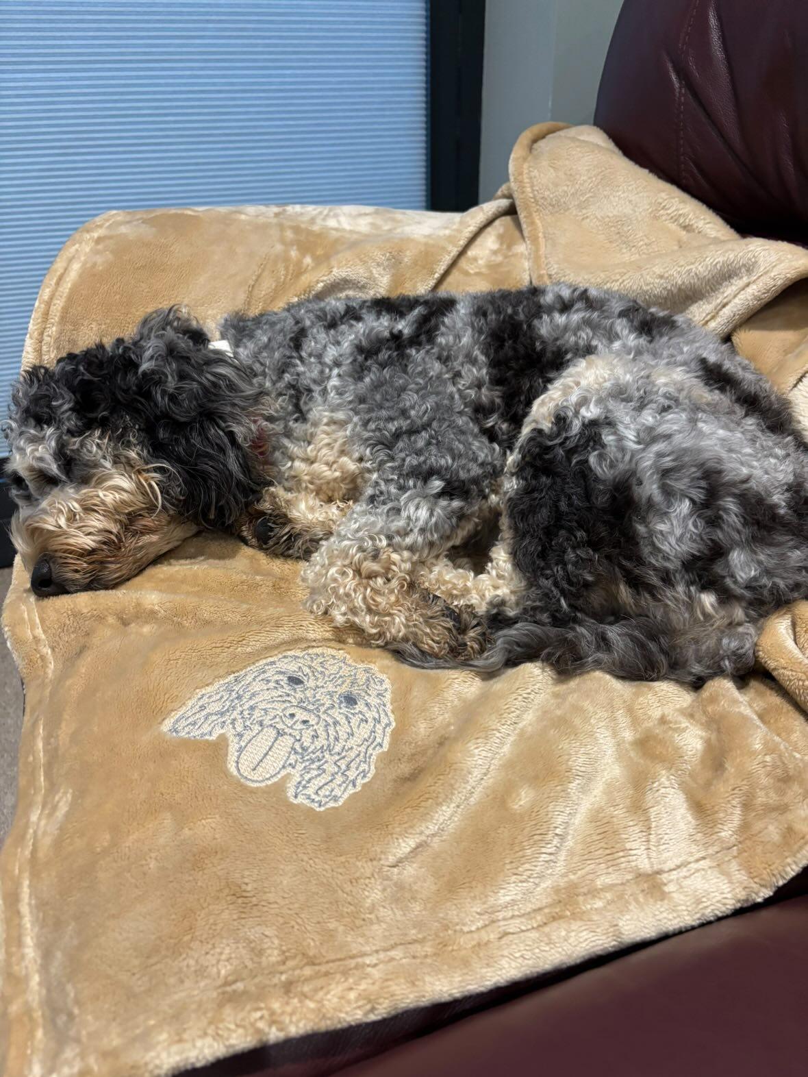 Custom embroidered plush blanket with dogs face