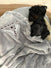 Luxury Just a girl Blanket