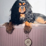 Pawtrait Wooden Log Slice