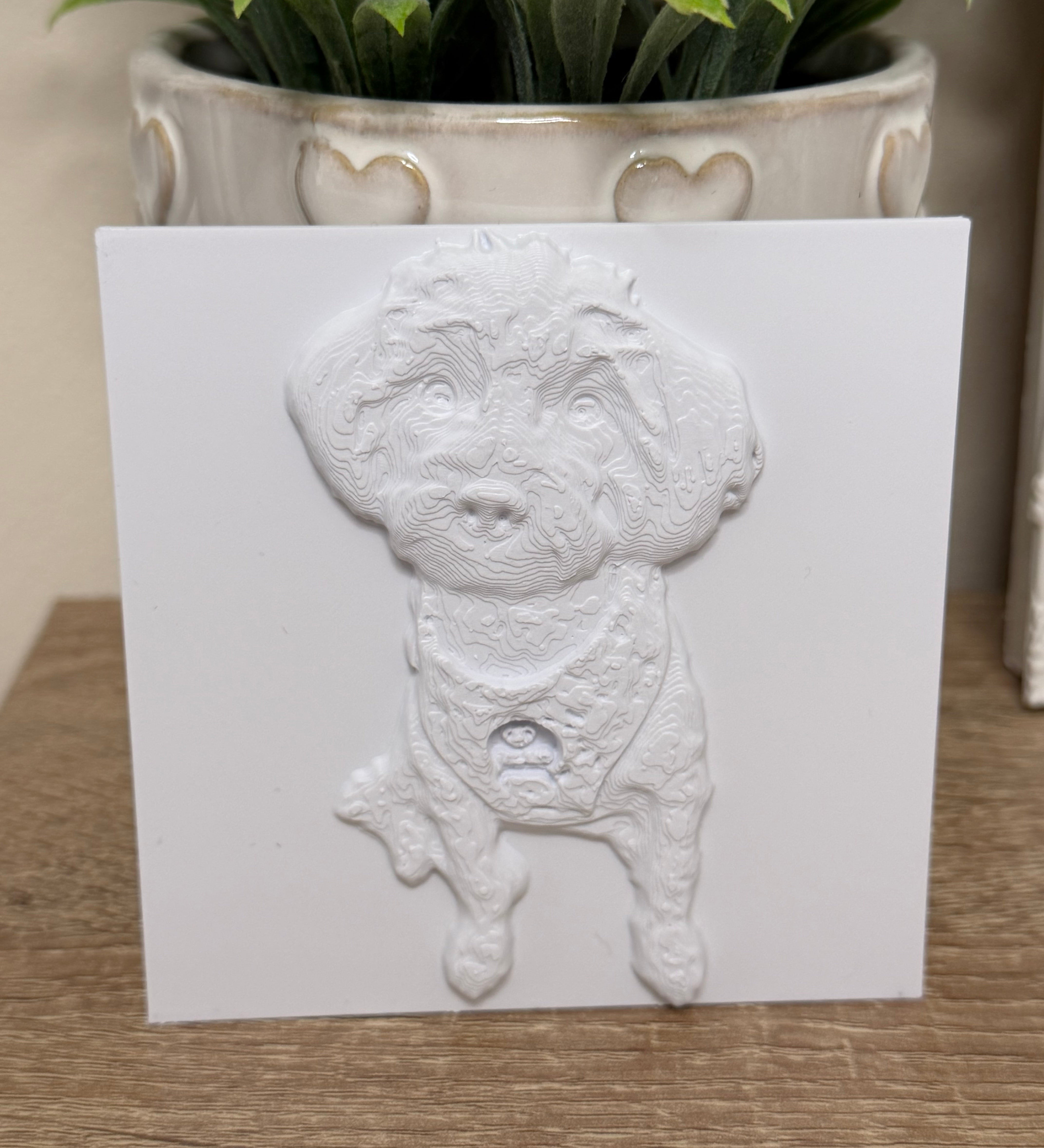 The Sculpted Pet - Custom Sculptural Keepsake