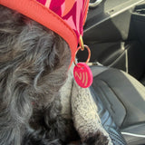 The Buddy Tag - Smart NFC Pet Id Tag