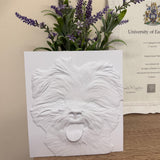 The Sculpted Pet - Custom Sculptural Keepsake