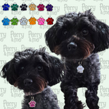 Glitter Paw Pet Tag