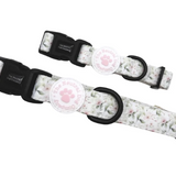 TNDC Collar