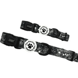 TNDC Collar