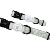 TNDC Collar