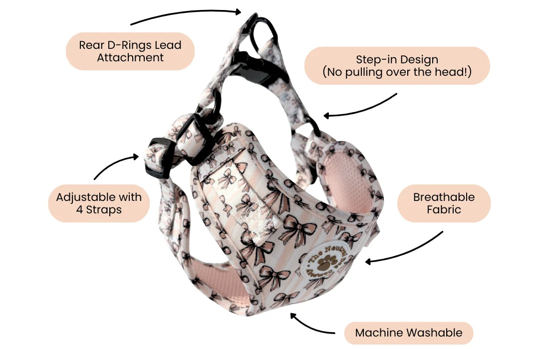 TNDC Step-in Harness
